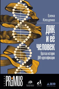 Елена Клещенко ДНК и её человек [litres] обложка книги