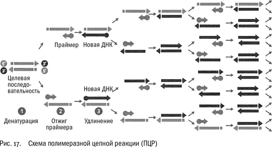 Дженнифер проснулась и спросила почему они не едут Кэри снова тронулся в путь - фото 17