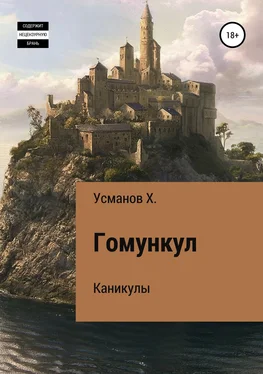 Хайдарали Усманов Гомункул. Каникулы обложка книги