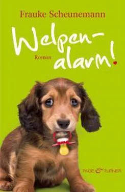 Фрауке Шойнеманн Welpenalarm! обложка книги