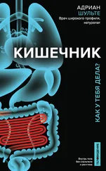 Адриан Шульте - Кишечник. Как у тебя дела?