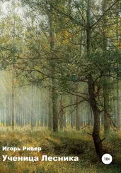 Игорь Ривер - Ученица Лесника