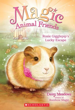 Daisy Meadows Rosie Gigglepip’s Lucky Escape обложка книги