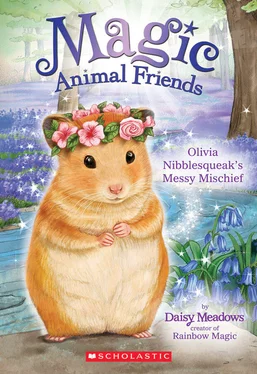 Daisy Meadows Olivia Nibblesqueak’s Messy Mischief обложка книги