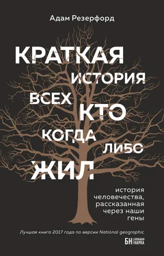 Адам Резерфорд Краткая история всех, кто когда-либо жил обложка книги