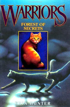 Erin Hunter Forest of Secrets обложка книги