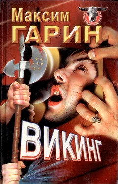 Максим Гарин Викинг обложка книги