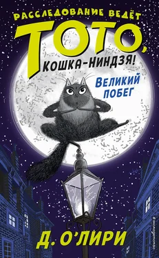 Дэрмот О’Лири Великий побег обложка книги