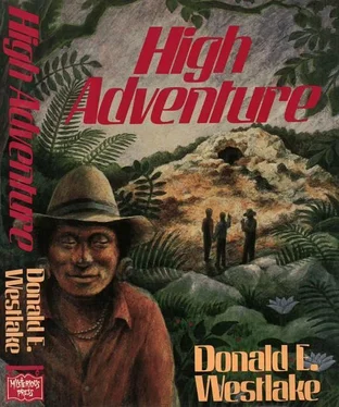 Donald Westlake High Adventure обложка книги