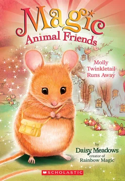 Daisy Meadows Molly Twinkletail Runs Away обложка книги