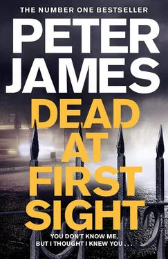 Peter James Dead at First Sight обложка книги