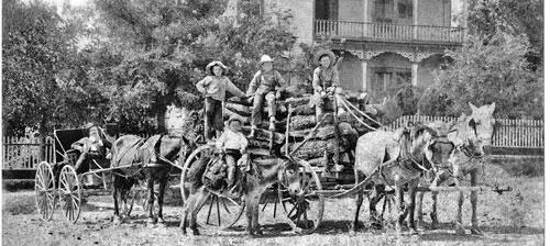 Том стоит слева и его братья включая Дока на осле и Дадли крайний - фото 37
