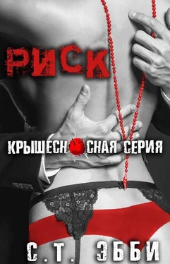 Царь S T Ebbi Risk обложка книги