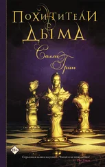 Салли Грин - Похитители дыма