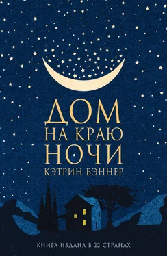 Кэтрин Бэннер Дом на краю ночи обложка книги