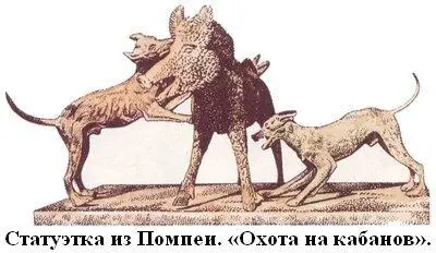 Для того чтобы сократить возможные потери боевым собакам изготавливали - фото 5