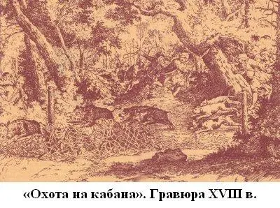 Боевых собак применяли также во время охоты на первобытного быка зубра и - фото 6