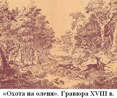 Травля собак на различные виды зверей в домашних условиях была известна и - фото 10