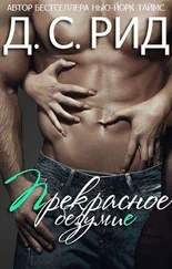 Дж. Рид - Прекрасное безумие