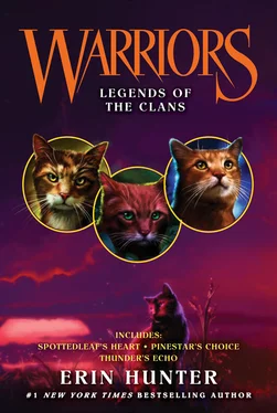 Эрин Хантер Legends of the Clans обложка книги