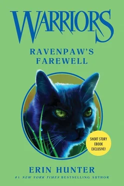 Эрин Хантер Ravenpaw’s Farewell обложка книги