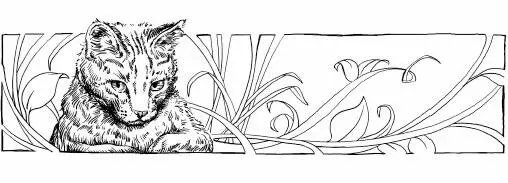 When Ravenpaw wok e Echosong was sitting beside him her tail twitching Ah - фото 12