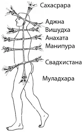 Рис 2 Расположение энергетических центров Ученые установили что - фото 2