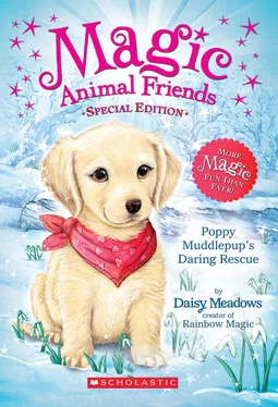 Daisy Meadows Poppy Muddlepup’s Daring Rescue обложка книги