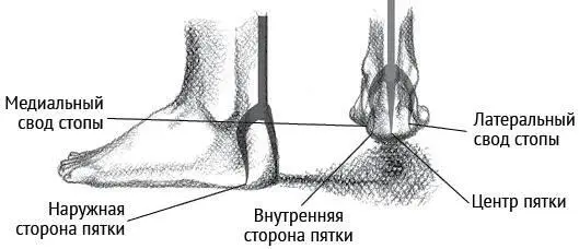 Рисунок 13 Трезубец Шивы и пяточная кость Завершив выполнение позы - фото 3