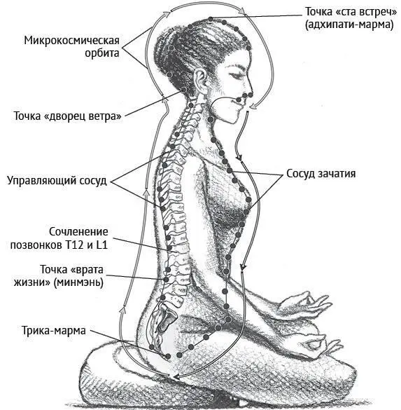 Рисунок 28 Центральные каналы и сокровенная жизненная сила Практика От - фото 17