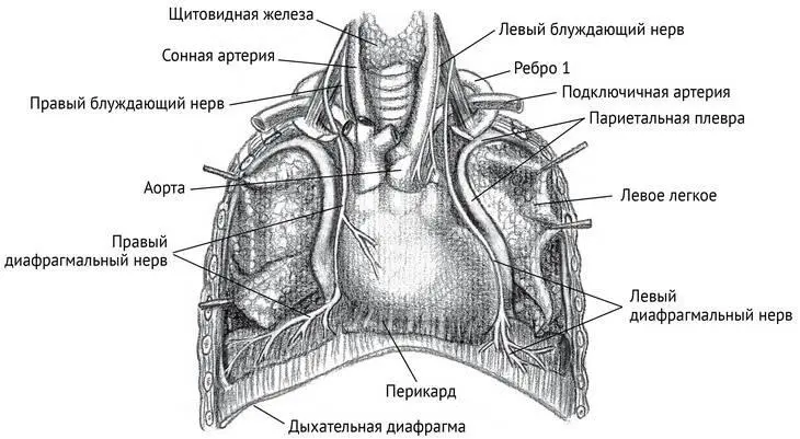 Рисунок 67 Пещера сердца Под пагубными воздействиями силами что норовят - фото 38
