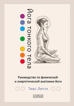Тиас Литтл Йога тонкого тела. Руководство по физической и энергетической анатомии йоги обложка книги