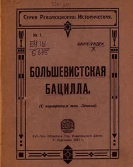 Карл Радек - Большевистская бацилла