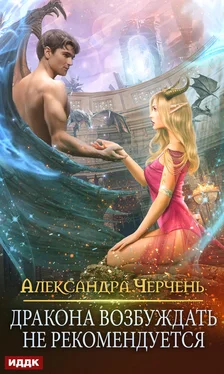 Александра Черчень Дракона возбуждать не рекомендуется [Publisher: ИДДК] обложка книги