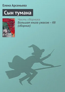 Елена Арсеньева Сын тумана обложка книги