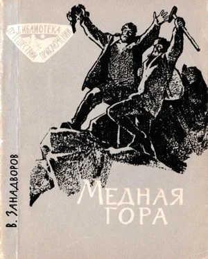 Владислав Занадворов Медная гора обложка книги