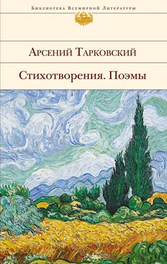 Арсений Тарковский Стихотворения. Поэмы обложка книги