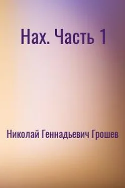 Николай Грошев Новый Вектор. Часть 1 обложка книги