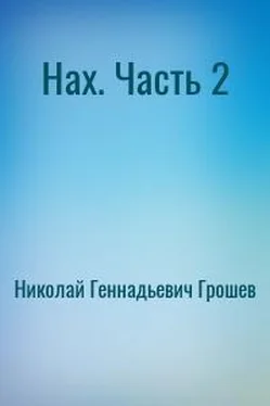 Николай Грошев Новый Вектор. Часть 2 обложка книги