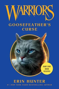 Эрин Хантер Goosefeather’s Curse