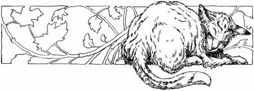 Doestar stood on top of the Highrock her pale creamandfawn fur looking like - фото 6