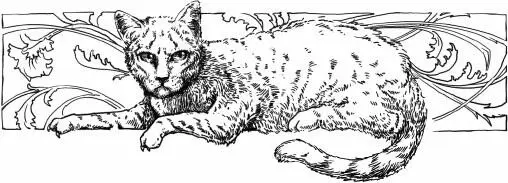 Id say youve been very lucky purred a soft voice Goosefeather jumped He - фото 9