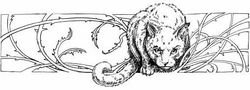 As the moons rolled into leafbare more and more kits were born until - фото 10