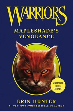 Эрин Хантер Mapleshade’s Vengeance обложка книги