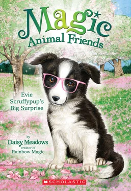 Дейзи Медоус Evie Scruffypup’s Big Surprise обложка книги