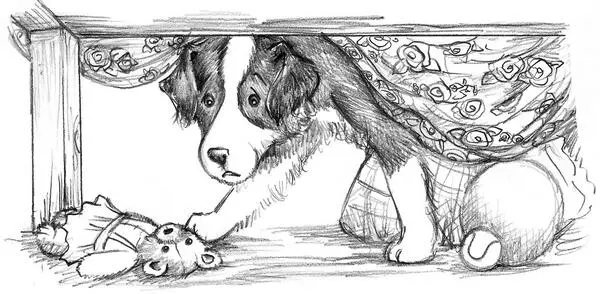 Thats funny Mrs Scruffypup said She looked around with a puzzled - фото 15