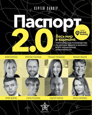 Сергей Сандер Паспорт 2.0 [litres] обложка книги
