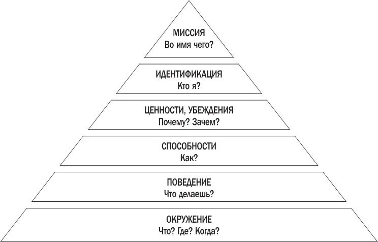 Как следует из названия здесь мы рассматриваем все что нас окружает Все что - фото 1