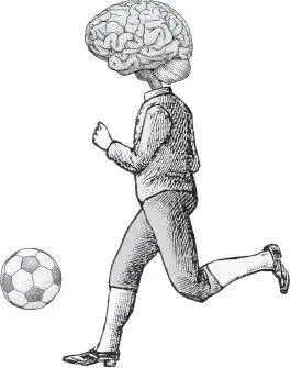 Андерс Хансен Беги мозг беги Как с помощью тренировок помочь мозгу стать - фото 1