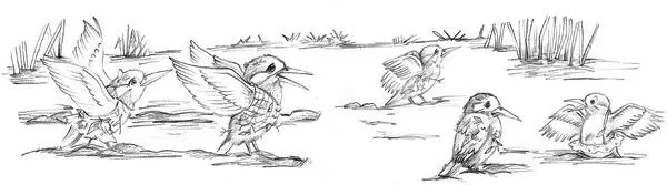 Its the Blueflash kingfisher family Goldie cried running to them What - фото 18